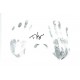Boxing Tyson Fury Original Signed 16x12 Inch Limited Edition Actual Ink Hand Prints 