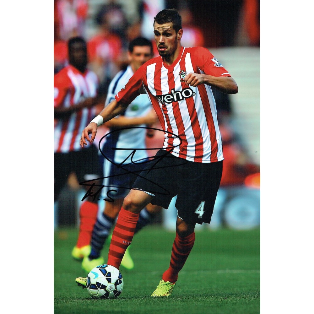 Morgan Schneiderlin Signed Southampton 12 x 8 inch Football Photograph. Morgan Schneiderlin Signed Southampton 12 x 8 inch Football Photograph.