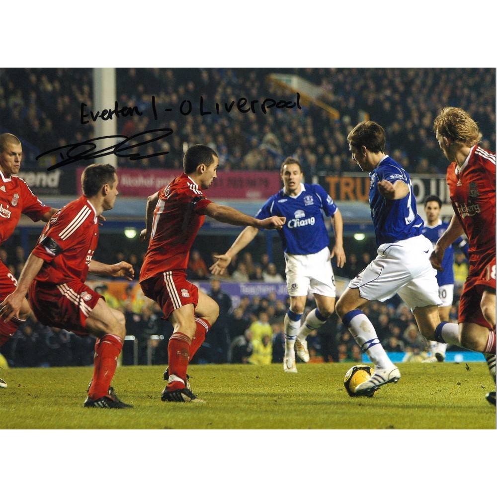 Dan Gosling collage Everton Signed 16 x 12 inch football photo. Dan Gosling collage Everton Signed 16 x 12 inch football photo.