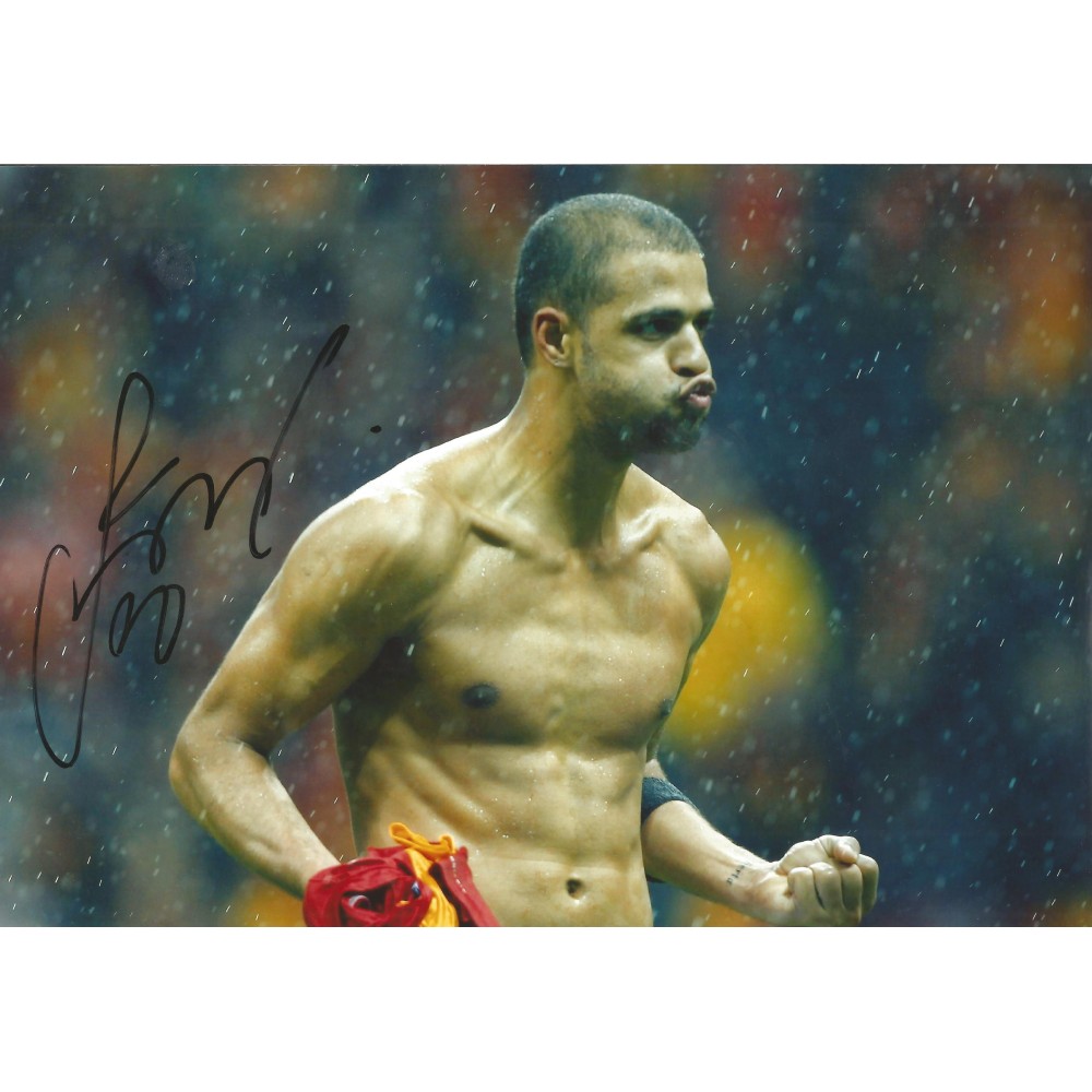 Felipe Melo Galatasaray signed 12 x 8 colour football photo. Felipe Melo Galatasaray signed 12 x 8 colour football photo.