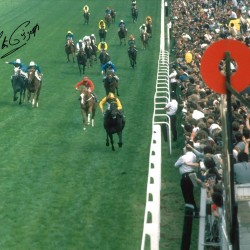 Lester Piggott Signed 16 x 12 inch horse racing photo. Lester Piggott Signed 16 x 12 inch horse racing photo.